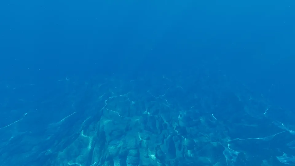Under the sea, 10 m
