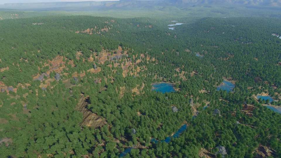 Over the forest