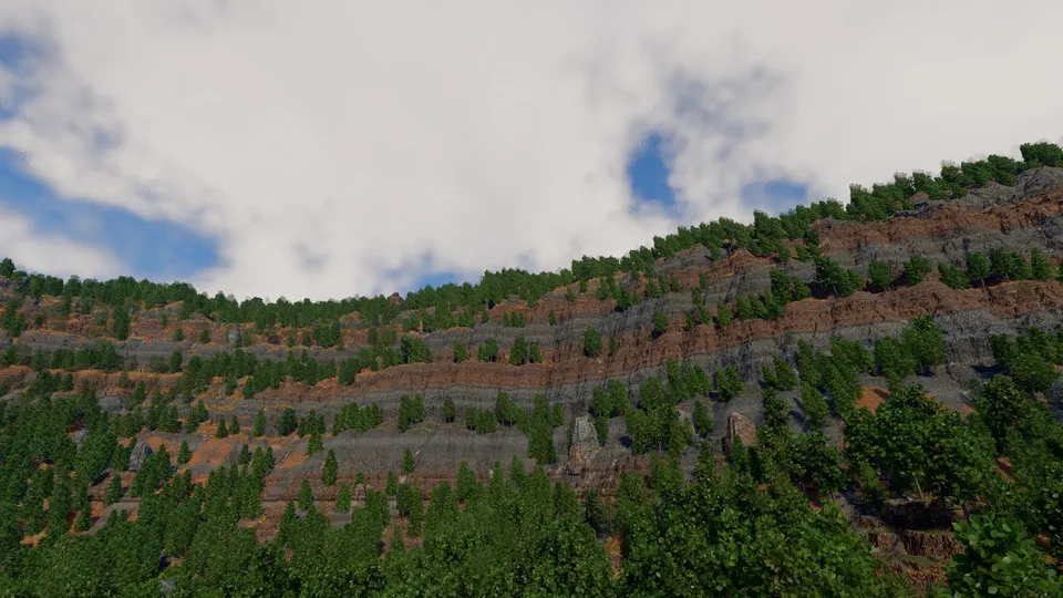 The cliff face