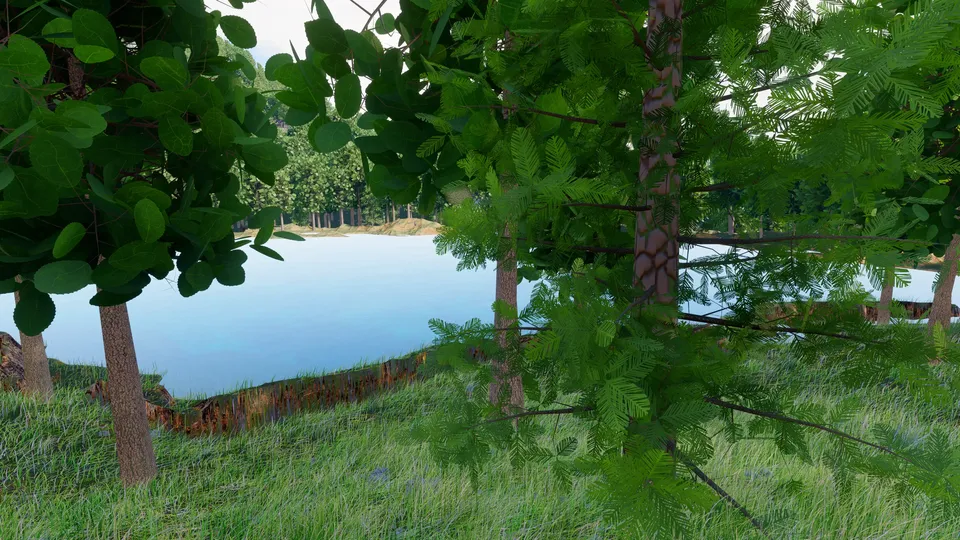 Pond at 2 m