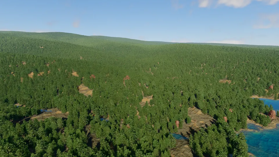 The forest from above
