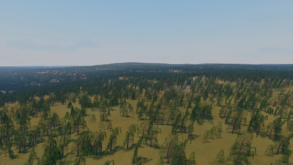 Braudor, boreal forest