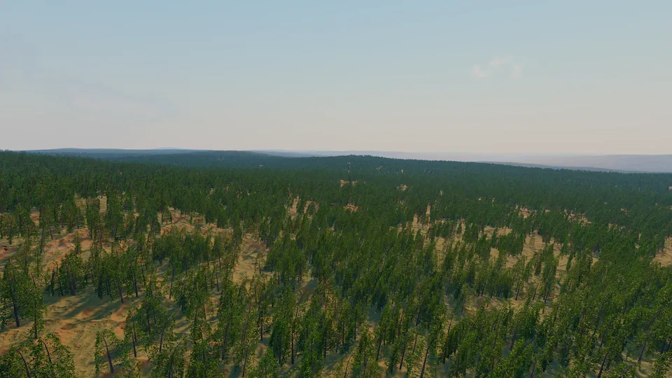Braudor, temperate forest