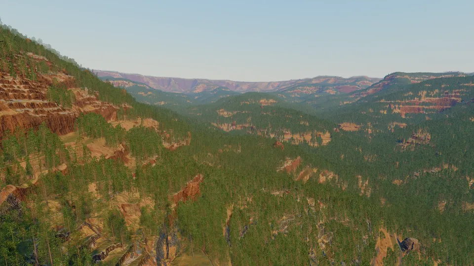Braudor, temperate rainforest