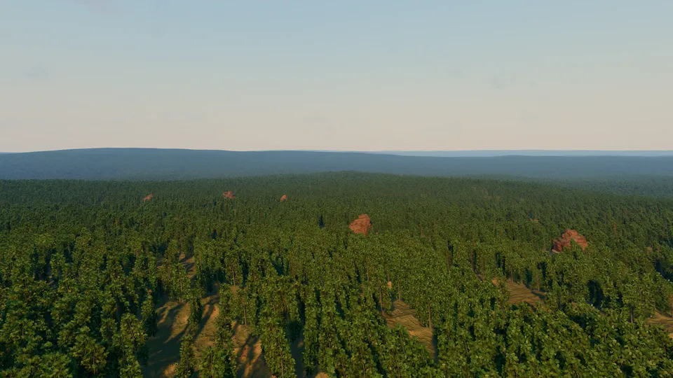 Braudor, warm temperate forest