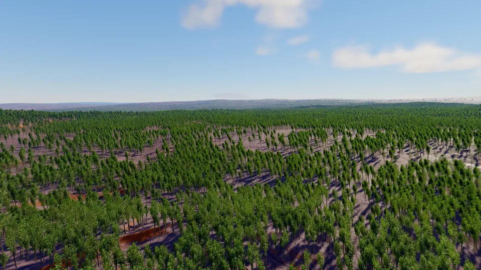 Verlen, temperate forest