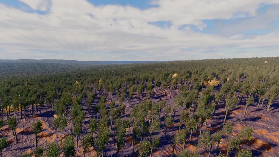 Verlen, tropical dry forest