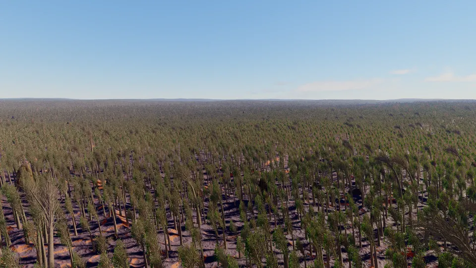 Verlen, warm temperate forest