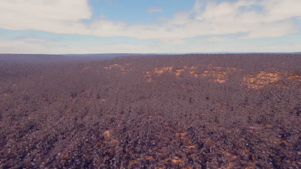 The red forest from above